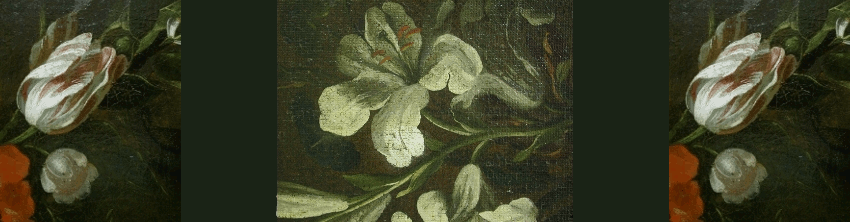 Oil on canvas. Title: Vanitas. 17th century. Unknown master, flamish school. Detail after restoration.